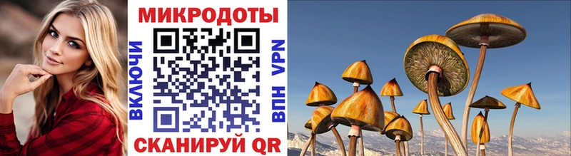 наркошоп Гдов мориарти какой сайт Галлюциногенные грибы Psilocybe