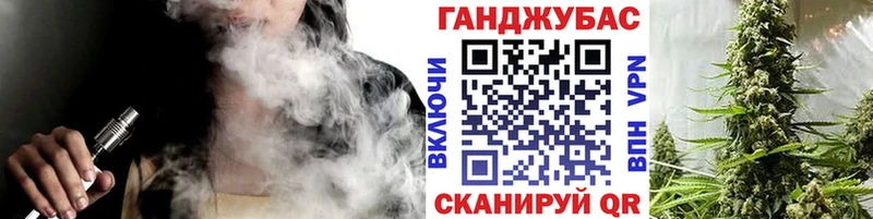 Шишки марихуана марихуана  как найти наркотики  Гдов 